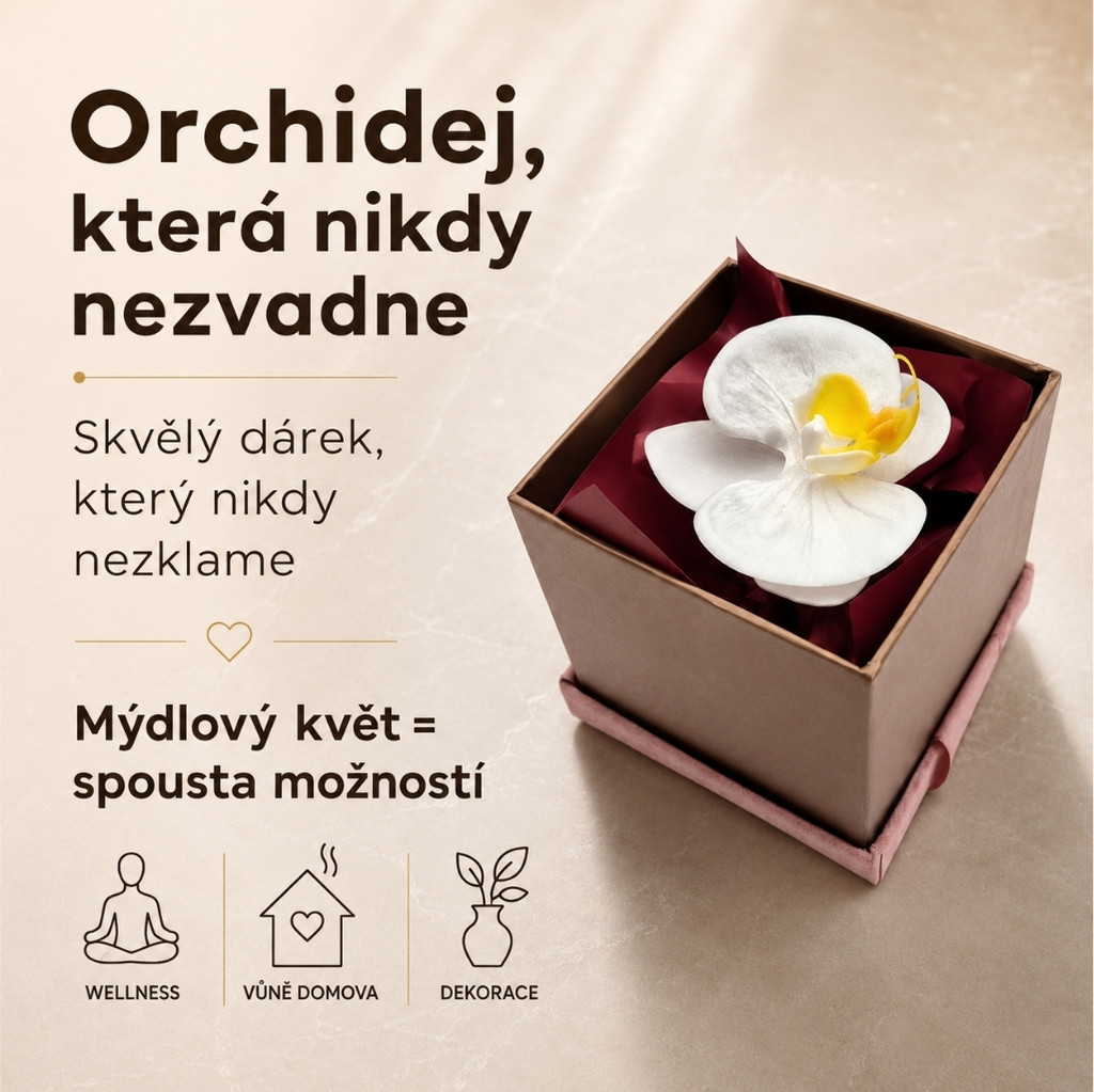Orchidea