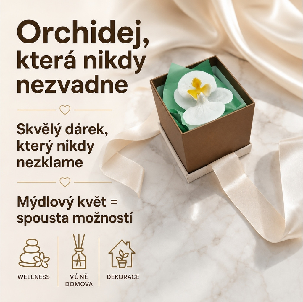 Orchidea